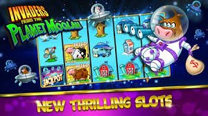 777win bet